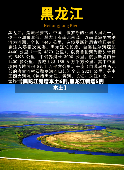 【黑龙江新增本土6例,黑龙江新增5例本土】