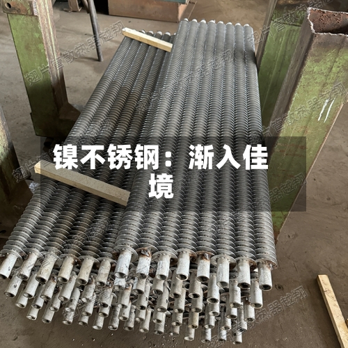 镍不锈钢:渐入佳境-第2张图片