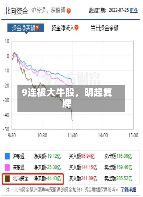 9连板大牛股，明起复牌-第2张图片