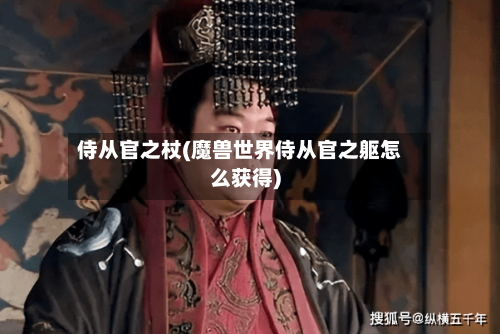 侍从官之杖(魔兽世界侍从官之躯怎么获得)