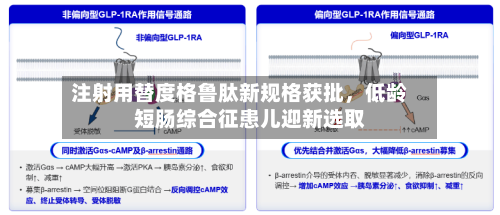 注射用替度格鲁肽新规格获批，低龄短肠综合征患儿迎新选取-第2张图片