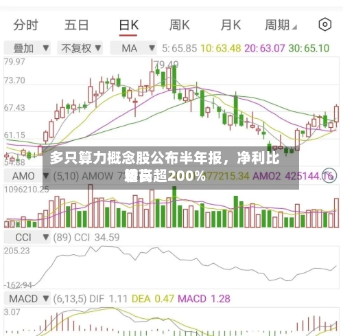 多只算力概念股公布半年报，净利比较高增长超200%-第3张图片