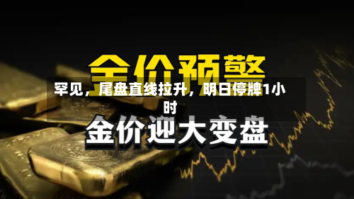 罕见	，尾盘直线拉升，明日停牌1小时-第3张图片