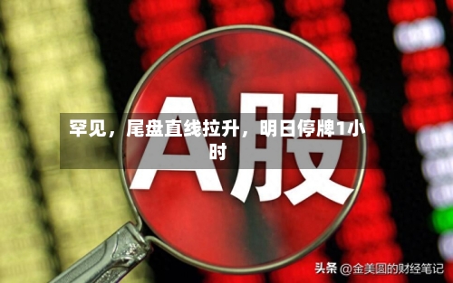 罕见，尾盘直线拉升，明日停牌1小时-第2张图片