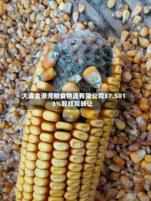 大连金港湾粮食物流有限公司37.5013%股权拟转让