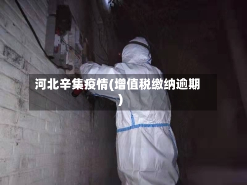 河北辛集疫情(增值税缴纳逾期)