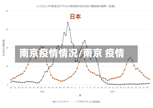 南京疫情情况/南京 疫情-第2张图片