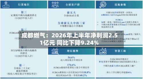 成都燃气：2026年上半年净利润2.51亿元 同比下降9.24%-第3张图片