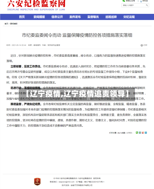 【辽宁疫情,辽宁疫情追责领导】