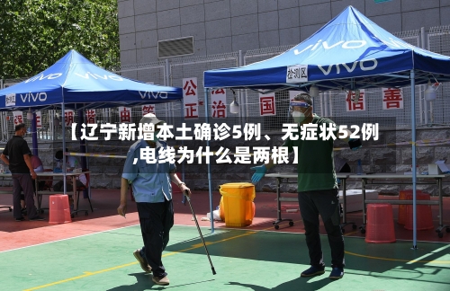 【辽宁新增本土确诊5例	、无症状52例,电线为什么是两根】-第2张图片