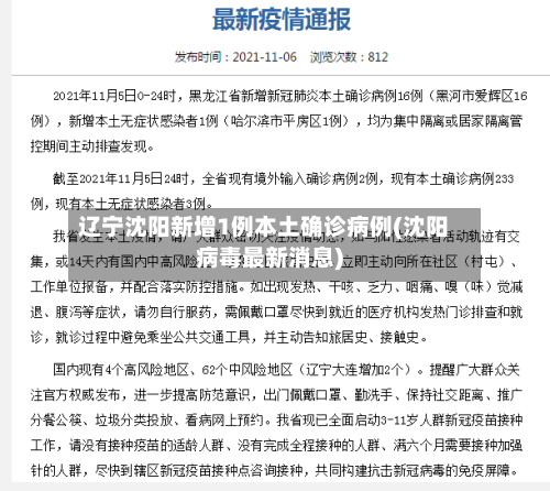 辽宁沈阳新增1例本土确诊病例(沈阳病毒最新消息)-第3张图片