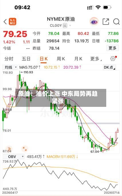 原油：油价上涨 中东局势再趋紧张