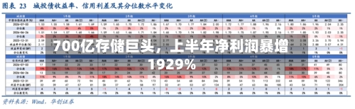 700亿存储巨头，上半年净利润暴增1929%