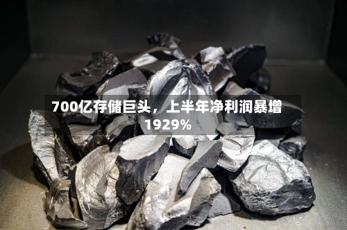 700亿存储巨头，上半年净利润暴增1929%-第2张图片