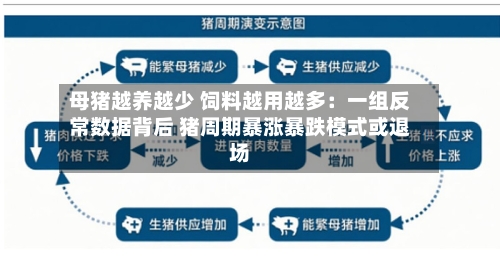母猪越养越少 饲料越用越多:一组反常数据背后 猪周期暴涨暴跌模式或退场-第2张图片