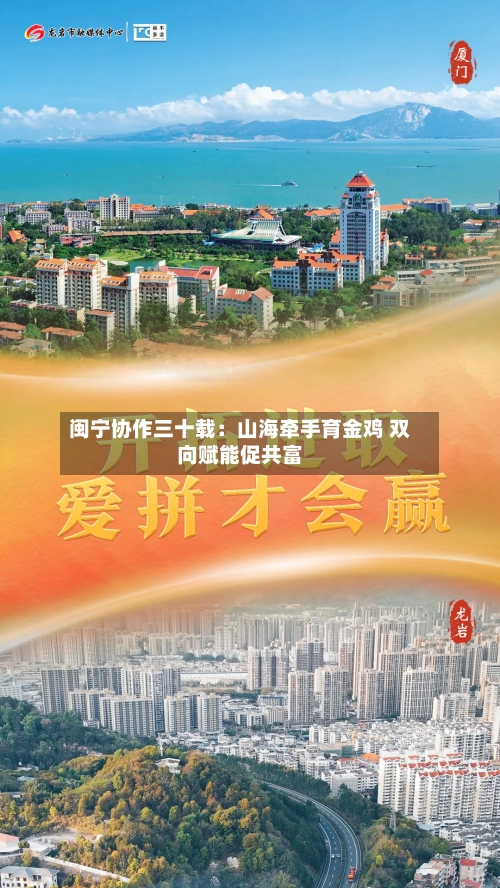 闽宁协作三十载:山海牵手育金鸡 双向赋能促共富-第3张图片