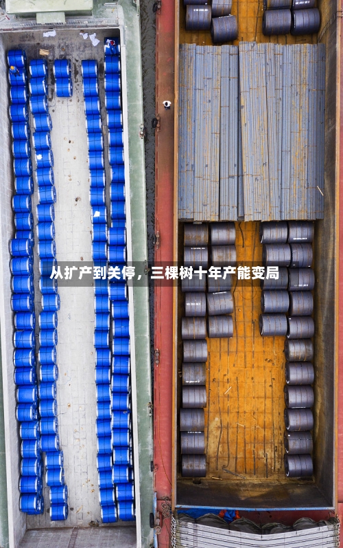 从扩产到关停，三棵树十年产能变局-第2张图片