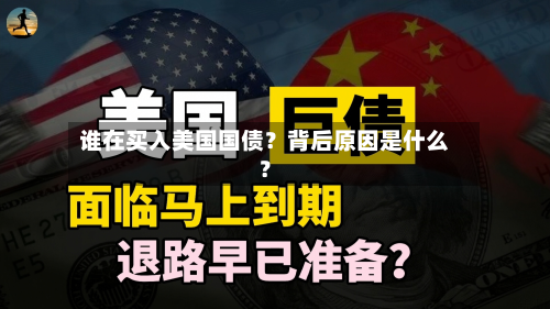 谁在买入美国国债？背后原因是什么？-第2张图片