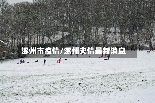 涿州市疫情/涿州灾情最新消息-第2张图片