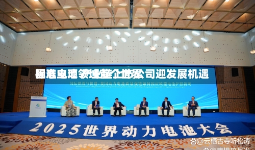 固态电池领域首个世界标准立项 产业链上市公司迎发展机遇-第3张图片