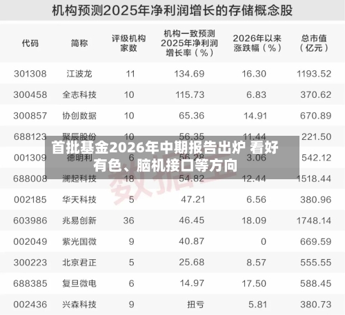 首批基金2026年中期报告出炉 看好有色、脑机接口等方向-第2张图片