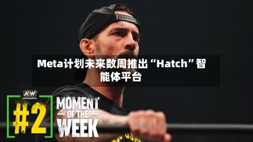 Meta计划未来数周推出“Hatch	”智能体平台-第2张图片