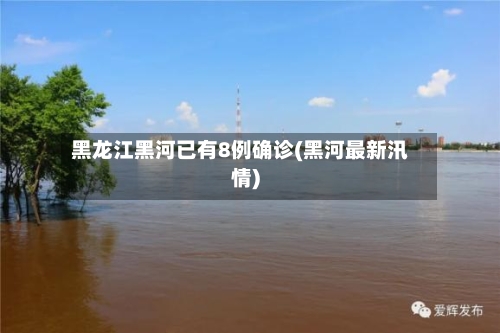黑龙江黑河已有8例确诊(黑河最新汛情)-第2张图片