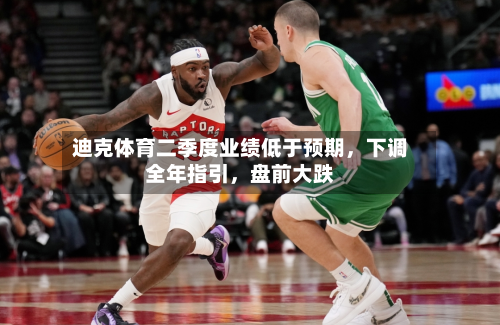 迪克体育二季度业绩低于预期	，下调全年指引，盘前大跌-第2张图片