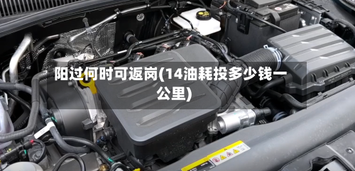 阳过何时可返岗(14油耗投多少钱一公里)
