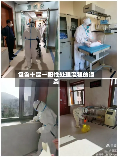 包含十混一阳性处理流程的词条