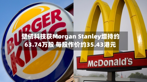 壁仞科技获Morgan Stanley增持约63.74万股 每股作价约35.43港元-第2张图片