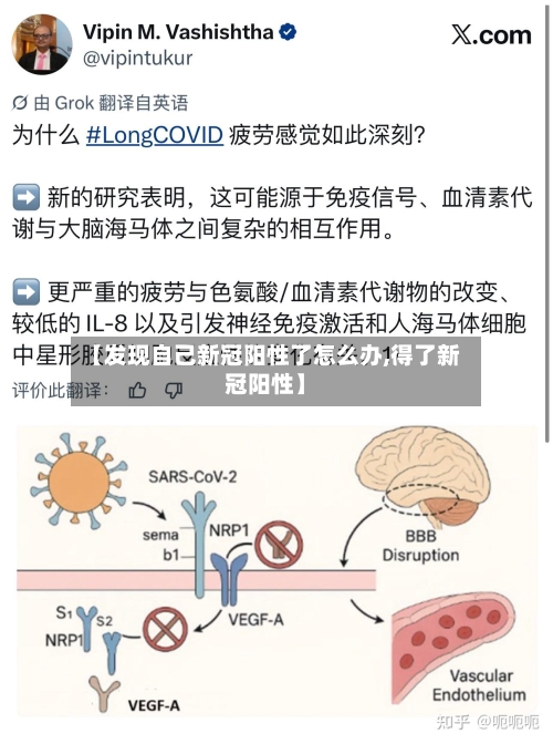 【发现自己新冠阳性了怎么办,得了新冠阳性】-第2张图片
