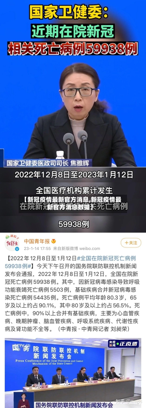 【新冠疫情最新官方消息,新冠疫情最新官方消息数据】