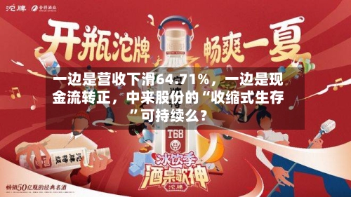 一边是营收下滑64.71%，一边是现金流转正，中来股份的“收缩式生存”可持续么？-第2张图片