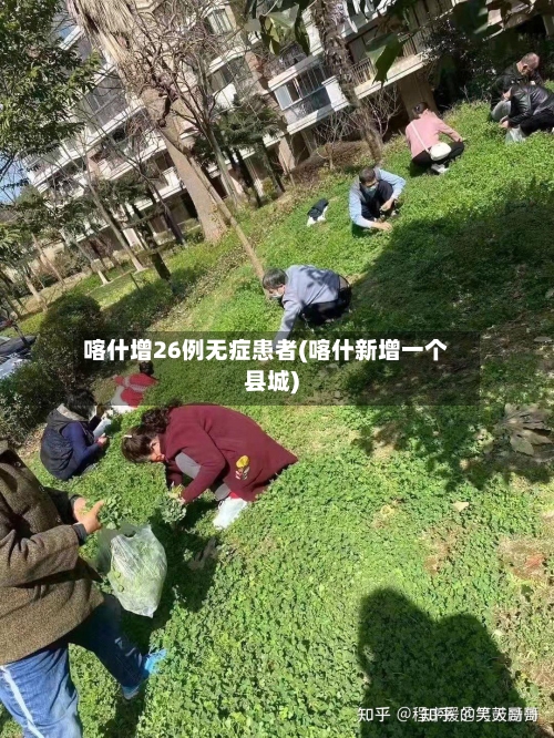 喀什增26例无症患者(喀什新增一个县城)