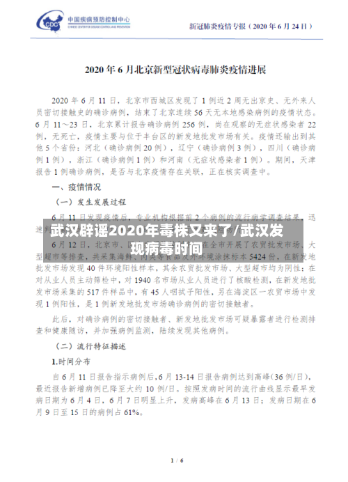 武汉辟谣2020年毒株又来了/武汉发现病毒时间-第2张图片