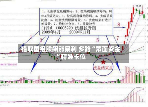 猎取重组股飙涨暴利 多路“蒙面资金	”精准卡位-第2张图片