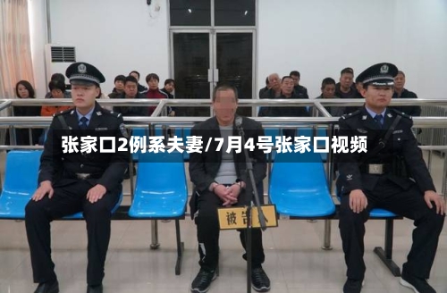 张家口2例系夫妻/7月4号张家口视频-第2张图片