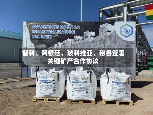 智利	、阿根廷、玻利维亚、秘鲁签署关键矿产合作协议-第3张图片