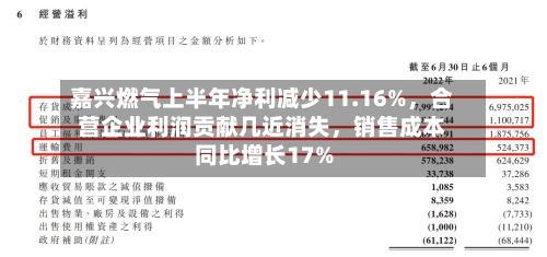 嘉兴燃气上半年净利减少11.16%，合营企业利润贡献几近消失	，销售成本同比增长17%-第2张图片