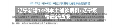 辽宁新增14例本土确诊病例/辽宁疫情最新通报-第2张图片