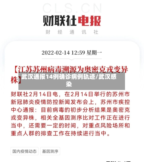 武汉通报14例确诊病例轨迹/武汉感染-第2张图片
