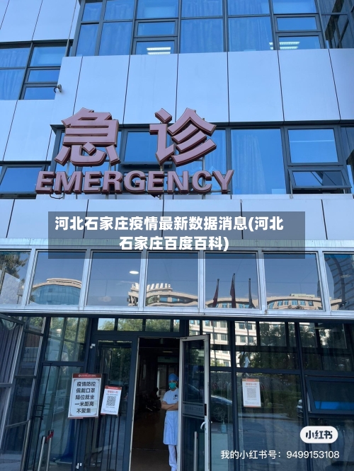 河北石家庄疫情最新数据消息(河北石家庄百度百科)
