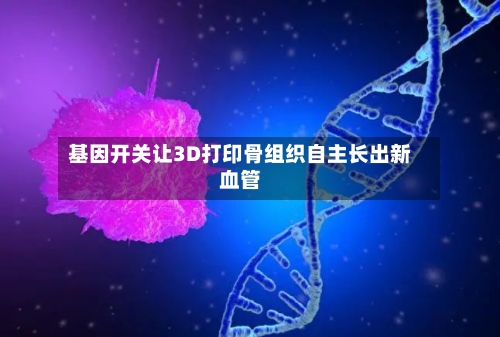 基因开关让3D打印骨组织自主长出新血管-第3张图片