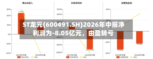 ST龙元(600491.SH)2026年中报净利润为-8.05亿元，由盈转亏-第2张图片