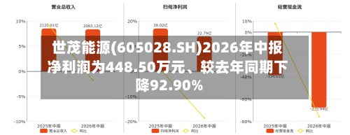 世茂能源(605028.SH)2026年中报净利润为448.50万元	、较去年同期下降92.90%-第3张图片