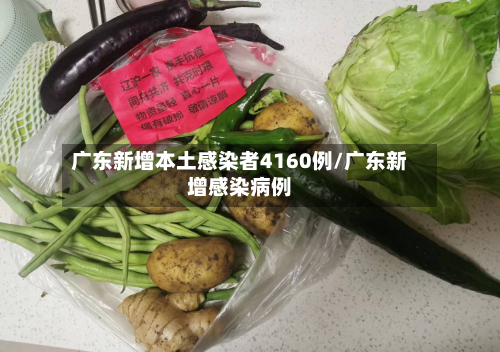 广东新增本土感染者4160例/广东新增感染病例-第2张图片