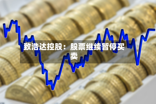 致浩达控股：股票继续暂停买卖