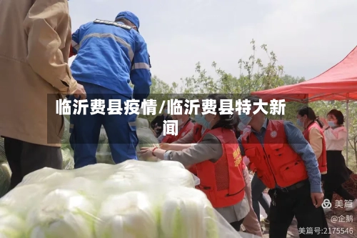 临沂费县疫情/临沂费县特大新闻