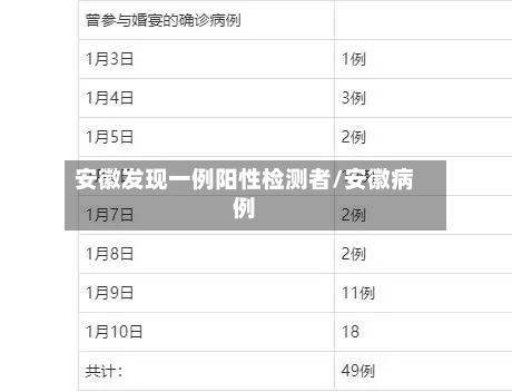 安徽发现一例阳性检测者/安徽病例